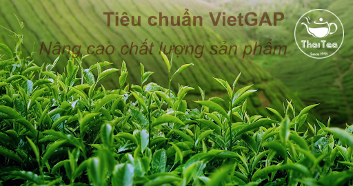 Những tiêu chuẩn Vietgap mà người tiêu dùng cần biết